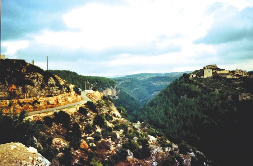 Syria3