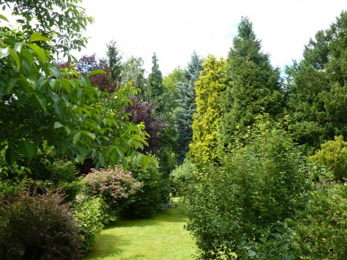 Botanicka